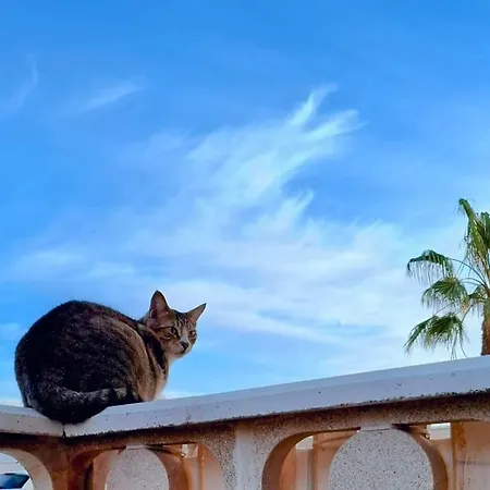 Гостевой дом Doble Con Bano Y Terraza Privada