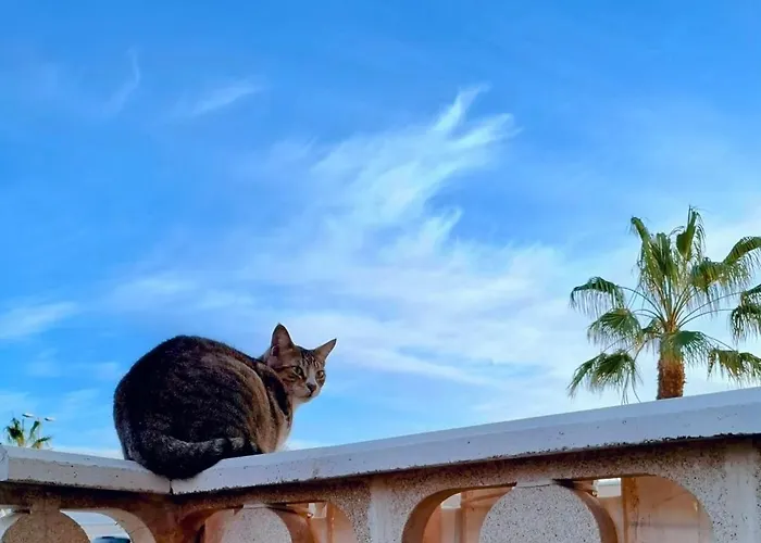 Maison d'hôtes Doble Con Bano Y Terraza Privada